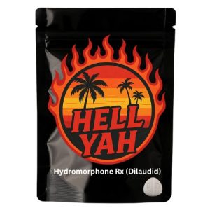 Hydromorphone Rx (Dilaudid)
